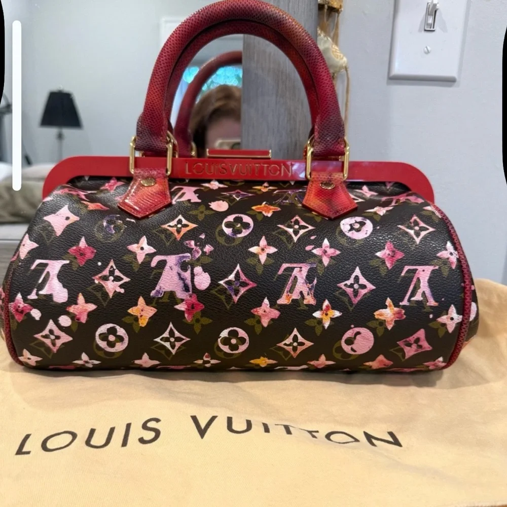 Louis Vuitton Spring 2008 Runway Python Aquarelle Papillon Bag - Picture 7 of 10
